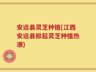 安远县灵芝种植(江西安远县掀起灵芝种植热潮)
