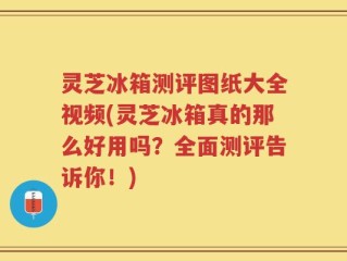 灵芝冰箱测评图纸大全视频(灵芝冰箱真的那么好用吗？全面测评告诉你！)