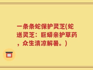 一条条蛇保护灵芝(蛇送灵芝：巨蟒亲护草药，众生清凉解暑。)