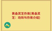 黄桑灵芝作用(黄桑灵芝：功效与作用介绍)