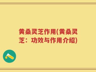 黄桑灵芝作用(黄桑灵芝：功效与作用介绍)