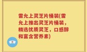 雷允上灵芝片桶装(雷允上推出灵芝片桶装，精选优质灵芝，口感醇和富含营养素)