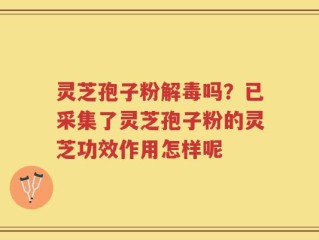 灵芝孢子粉解毒吗？已采集了灵芝孢子粉的灵芝功效作用怎样呢