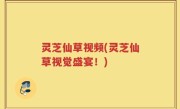 灵芝仙草视频(灵芝仙草视觉盛宴！)