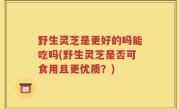 野生灵芝是更好的吗能吃吗(野生灵芝是否可食用且更优质？)