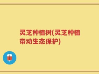 灵芝种植树(灵芝种植带动生态保护)