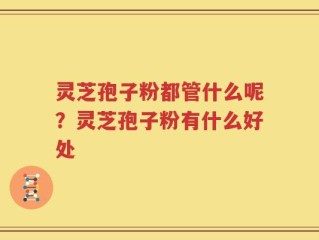 灵芝孢子粉都管什么呢？灵芝孢子粉有什么好处