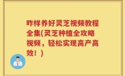 咋样养好灵芝视频教程全集(灵芝种植全攻略视频，轻松实现高产高效！)