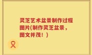 灵芝艺术盆景制作过程图片(制作灵芝盆景，图文并茂！)