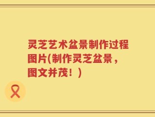 灵芝艺术盆景制作过程图片(制作灵芝盆景，图文并茂！)