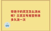 带孢子的灵芝怎么浇水呢？兰灵王专用营养液多久浇一次