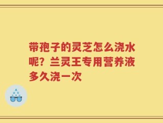 带孢子的灵芝怎么浇水呢？兰灵王专用营养液多久浇一次