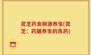 灵芝药食同源养生(灵芝：药膳养生的良药)
