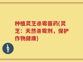 种植灵芝杀霉菌药(灵芝：天然杀霉剂，保护作物健康)