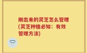 刚出来的灵芝怎么管理(灵芝种植必知：有效管理方法)