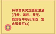 丹参黄芪灵芝鹿茸泡酒(丹参、黄芪、灵芝、鹿茸等中草药泡酒，富含营养可口)