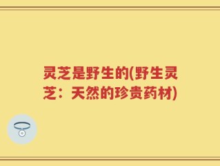 灵芝是野生的(野生灵芝：天然的珍贵药材)