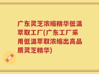 广东灵芝浓缩精华低温萃取工厂(广东工厂采用低温萃取浓缩出高品质灵芝精华)