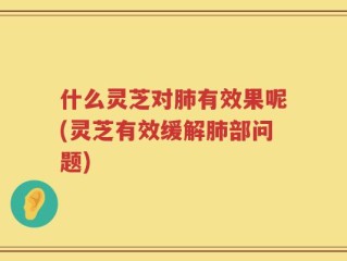 什么灵芝对肺有效果呢(灵芝有效缓解肺部问题)
