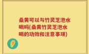 桑黄可以与竹灵芝泡水喝吗(桑黄竹灵芝泡水喝的功效和注意事项)
