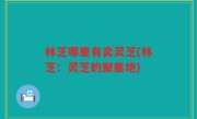 林芝哪里有卖灵芝(林芝：灵芝的聚集地)