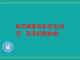 林芝哪里有卖灵芝(林芝：灵芝的聚集地)