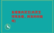 鱼塘里肉灵芝(肉灵芝惊现鱼塘，网友纷纷围观)