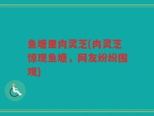 鱼塘里肉灵芝(肉灵芝惊现鱼塘，网友纷纷围观)