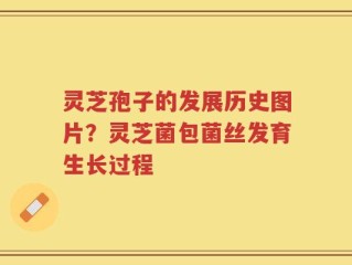 灵芝孢子的发展历史图片？灵芝菌包菌丝发育生长过程