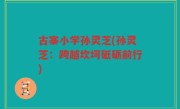 古寨小学孙灵芝(孙灵芝：跨越坎坷砥砺前行)