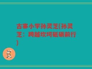 古寨小学孙灵芝(孙灵芝：跨越坎坷砥砺前行)
