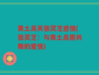 黄土高天张灵芝感情(张灵芝：与黄土高原共舞的爱情)