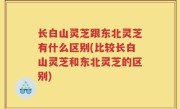 长白山灵芝跟东北灵芝有什么区别(比较长白山灵芝和东北灵芝的区别)