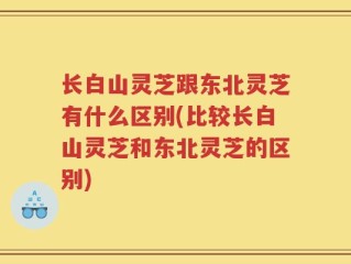 长白山灵芝跟东北灵芝有什么区别(比较长白山灵芝和东北灵芝的区别)