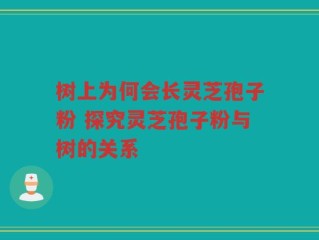 树上为何会长灵芝孢子粉 探究灵芝孢子粉与树的关系