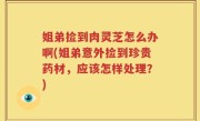 姐弟捡到肉灵芝怎么办啊(姐弟意外捡到珍贵药材，应该怎样处理？)