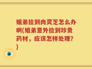 姐弟捡到肉灵芝怎么办啊(姐弟意外捡到珍贵药材，应该怎样处理？)