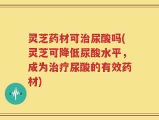 灵芝药材可治尿酸吗(灵芝可降低尿酸水平，成为治疗尿酸的有效药材)