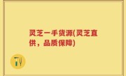 灵芝一手货源(灵芝直供，品质保障)