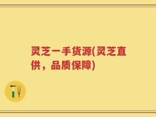 灵芝一手货源(灵芝直供，品质保障)