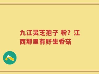 九江灵芝孢子 粉？江西那里有野生香菇