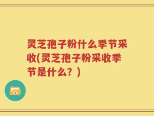灵芝孢子粉什么季节采收(灵芝孢子粉采收季节是什么？)