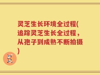 灵芝生长环境全过程(追踪灵芝生长全过程，从孢子到成熟不断拍摄)