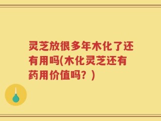 灵芝放很多年木化了还有用吗(木化灵芝还有药用价值吗？)