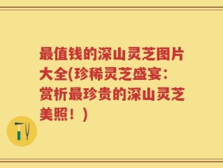 最值钱的深山灵芝图片大全(珍稀灵芝盛宴：赏析最珍贵的深山灵芝美照！)