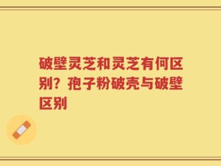 破壁灵芝和灵芝有何区别？孢子粉破壳与破壁区别