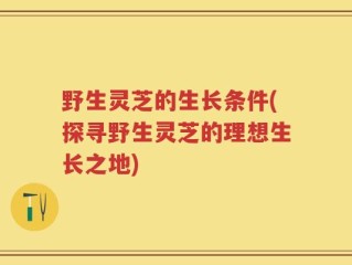 野生灵芝的生长条件(探寻野生灵芝的理想生长之地)
