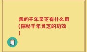 我的千年灵芝有什么用(探秘千年灵芝的功效)