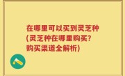 在哪里可以买到灵芝种(灵芝种在哪里购买？购买渠道全解析)