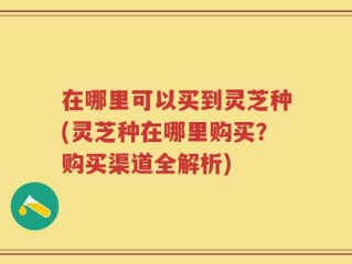 在哪里可以买到灵芝种(灵芝种在哪里购买？购买渠道全解析)